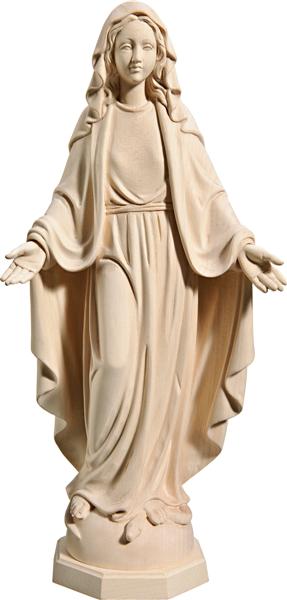 MADONNA IMMACOLATA